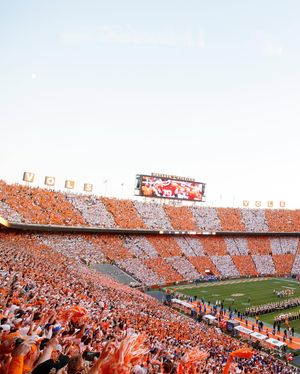 Image post by @vol_sports on Instagram