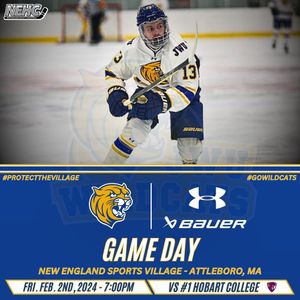Image post by @jwumenshockey on Instagram