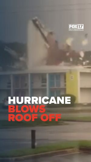 Image post by @foxnashville on Instagram