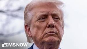 Video post by @msnbc on YouTube