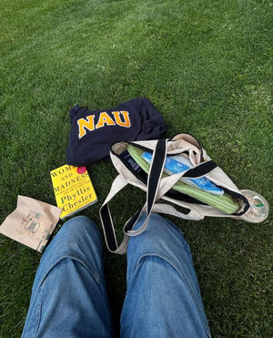 Image post by @nauflagstaff on Instagram
