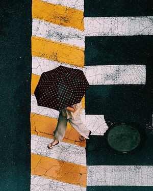 Image post by @leica_camera on Instagram