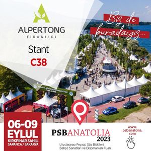 Image post by @alpertongfidanligi on Instagram