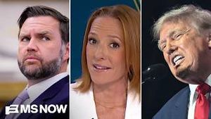 Video post by @msnbc on YouTube