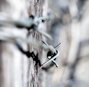 Image post by @ericdphoto on Instagram