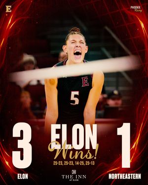 Image post by @elonvb on Instagram