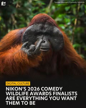 Video post by @mashable on TikTok