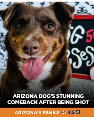 Image post by @arizonasfamily on Instagram