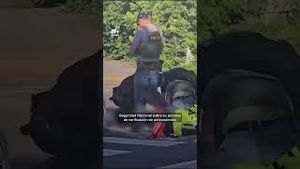 Video post by @nmasunivision on YouTube