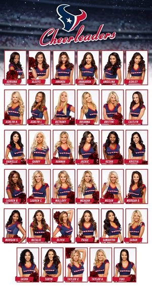 Image post by @TexansCheer on Twitter