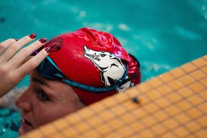 Image post by @razorbackswimdive on Instagram