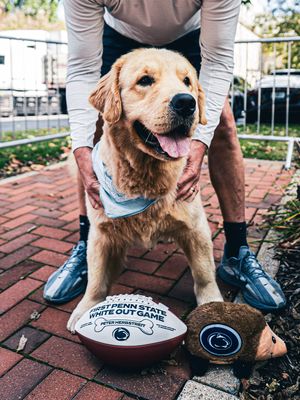 Image post by @pennstatefball on Instagram