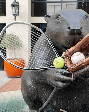 Image post by @caltechbaseball on Instagram