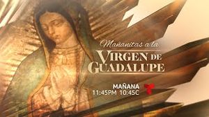 Video post by @telemundo on YouTube