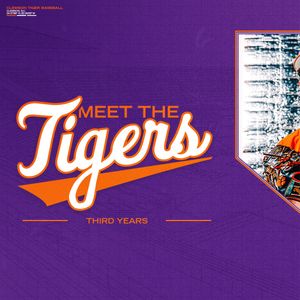 Image post by @clemsonbaseball on Instagram