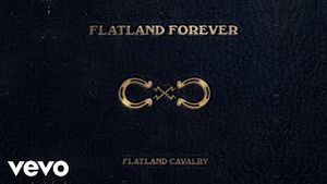 Video post by @flatlandcavalry on YouTube