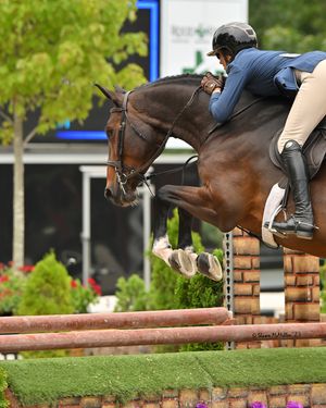 Image post by @kyhorseshows on Instagram