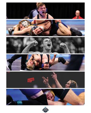 Image post by @kodiak_creative on Instagram