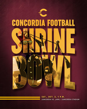 Image post by @the_stingers on Instagram
