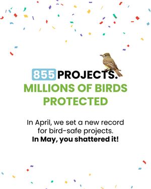 Image post by @featherfriendly on Instagram