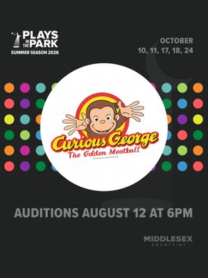 Image post by @playsintheparkedisonnj on Instagram