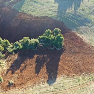 Image post by @operitoambiental on Instagram