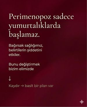 Image post by @asliokender on Instagram