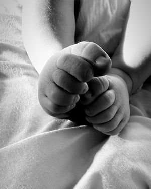 Image post by @thejudge44 on Instagram