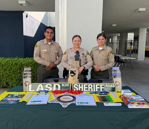 Image post by @temlasd on Instagram