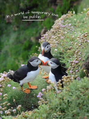 Image post by @discoverireland.ie on Instagram