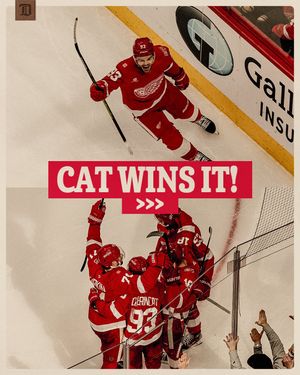 Image post by @detroitredwings on Instagram