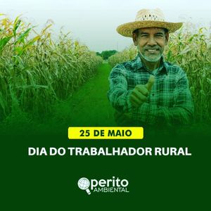 Image post by @operitoambiental on Instagram