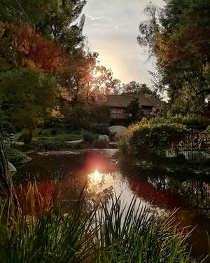 Image post by @vamospuesandres on Instagram
