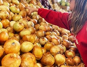 Image post by @stewleonards on Instagram