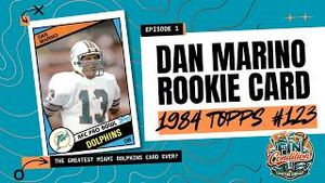 Video post by @dolphinstalk on YouTube
