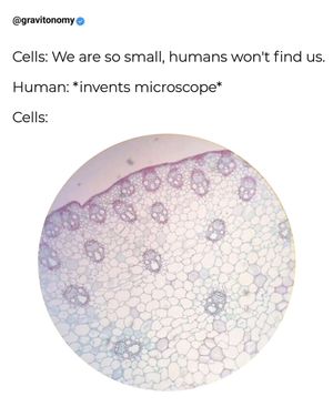 Image post by @gravitonomy on Instagram