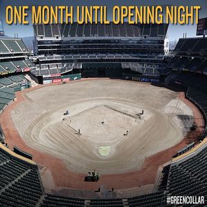 Image post by @athletics on Instagram