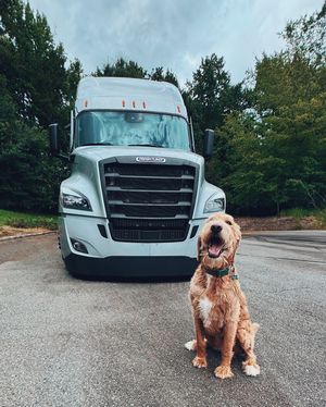 Image post by @freightlinertrucks on Instagram