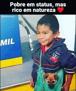 Image post by @operitoambiental on Instagram