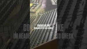 Video post by @chelsearhane on YouTube
