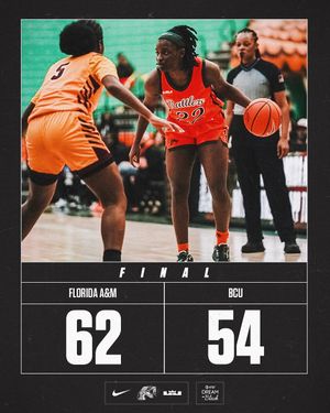 Image post by @famuwbb on Instagram