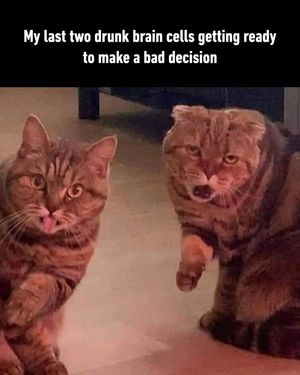 Image post by @9gag on Instagram