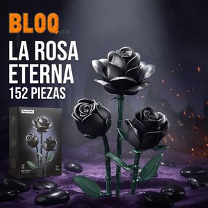 Image post by @bloqmexico on Instagram