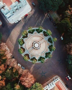 Image post by @mauriciothomsen on Instagram