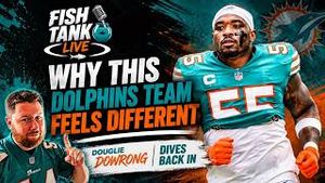 Video post by @dolphinstalk on YouTube