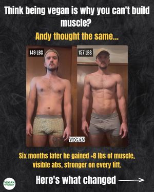 Image post by @thebodybuildingvegan on Instagram