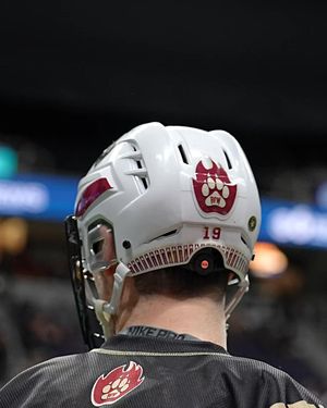 Video post by @AlbFireWolves on Facebook