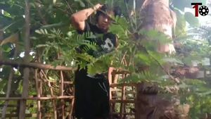 Video post by @teewanclips on Facebook