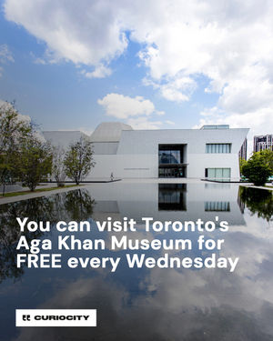 Image post by @curiocitytoronto on Instagram