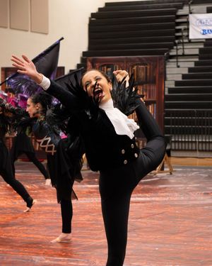 Image post by @wgisportofthearts on Instagram